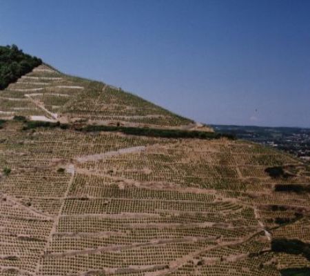 Lieu-dit Saint-Joseph, coteaux escarpés et qui donnent le vertige. Cette parcelle a donné naissance au nom de l’Appellation