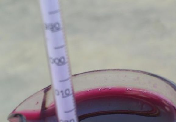 Utilisation du mustimètre durant la macération pour suivre l'évolution de la fermentation.