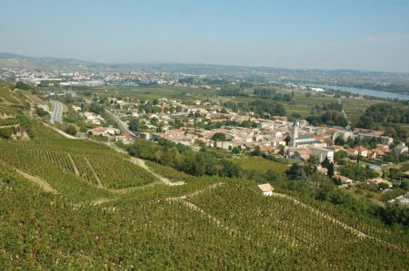 Mauves sur Rhône, le berceau de l’Appellation Saint-Joseph depuis 1956