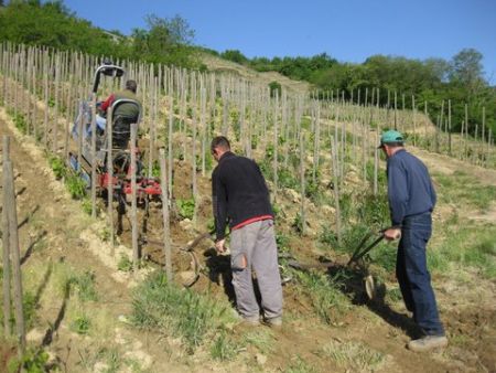 Travail du sol sur nos reliefs escarpés : le débuttage