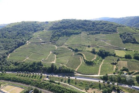 Le Paradis, lieu-dit (situé au dessus du village de Mauves) et cuvée mythique du Domaine. Un terroir d’exception exposé sud sud-est.